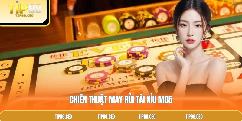 Chiến thuật may rủi tài xỉu MD5