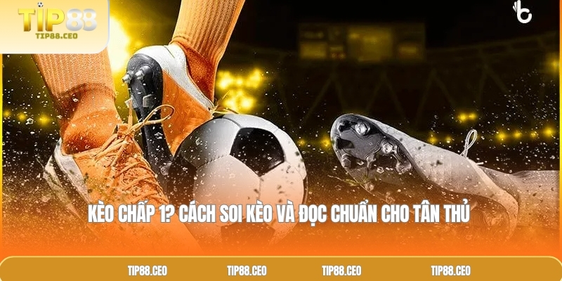 Kèo Chấp 1? Cách Soi Kèo Và Đọc Chuẩn Cho Tân Thủ