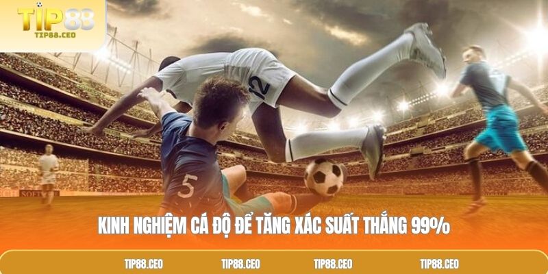 Kinh nghiệm cá độ để tăng xác suất thắng 99%
