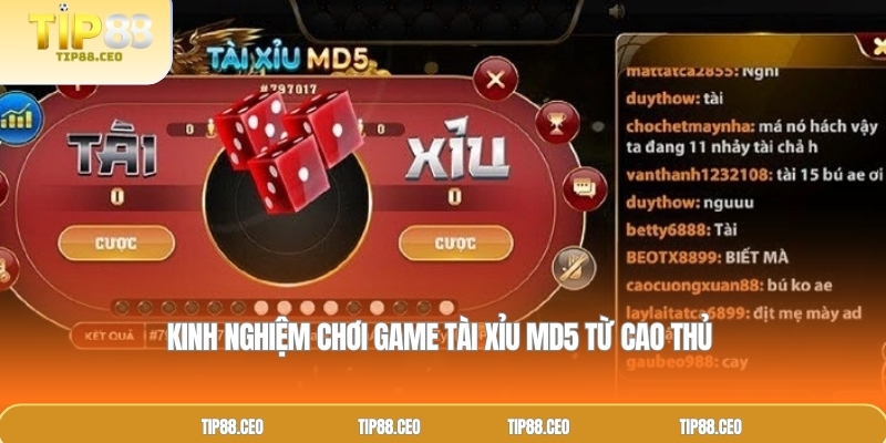 Kinh nghiệm chơi game tài xỉu MD5 từ cao thủ 