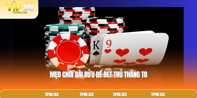 Mẹo chơi bài bửu để bet thủ thắng to