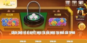 Cách Chơi Và Bí Quyết Mẹo Tài Xỉu MD5 Tại Nhà Cái TIP88
